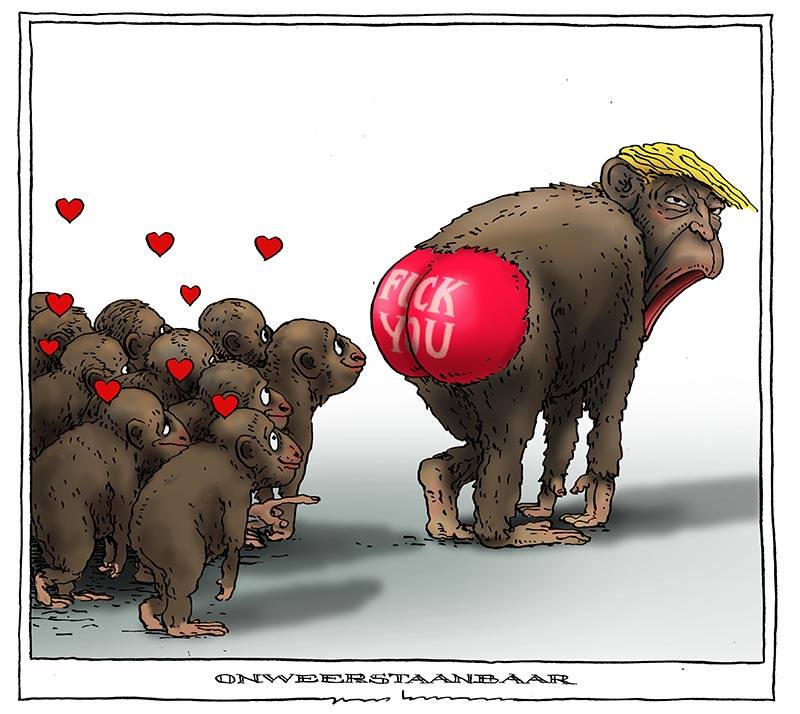 12804851_10208988107002362_4522687988037783443_n