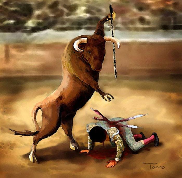 bull fighting